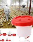 Chicken Drinking Cups